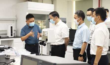 pg�齫����(�ٷ�)����IOS/��׿��/�ֻ���APP����