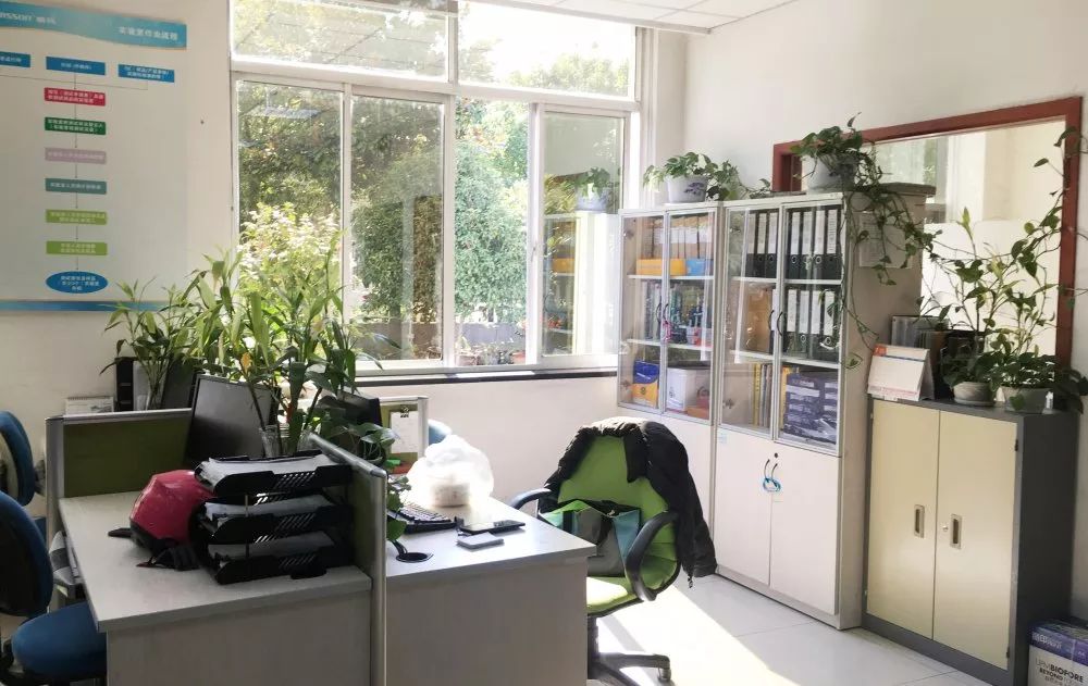 pg�齫����(�ٷ�)����IOS/��׿��/�ֻ���APP����