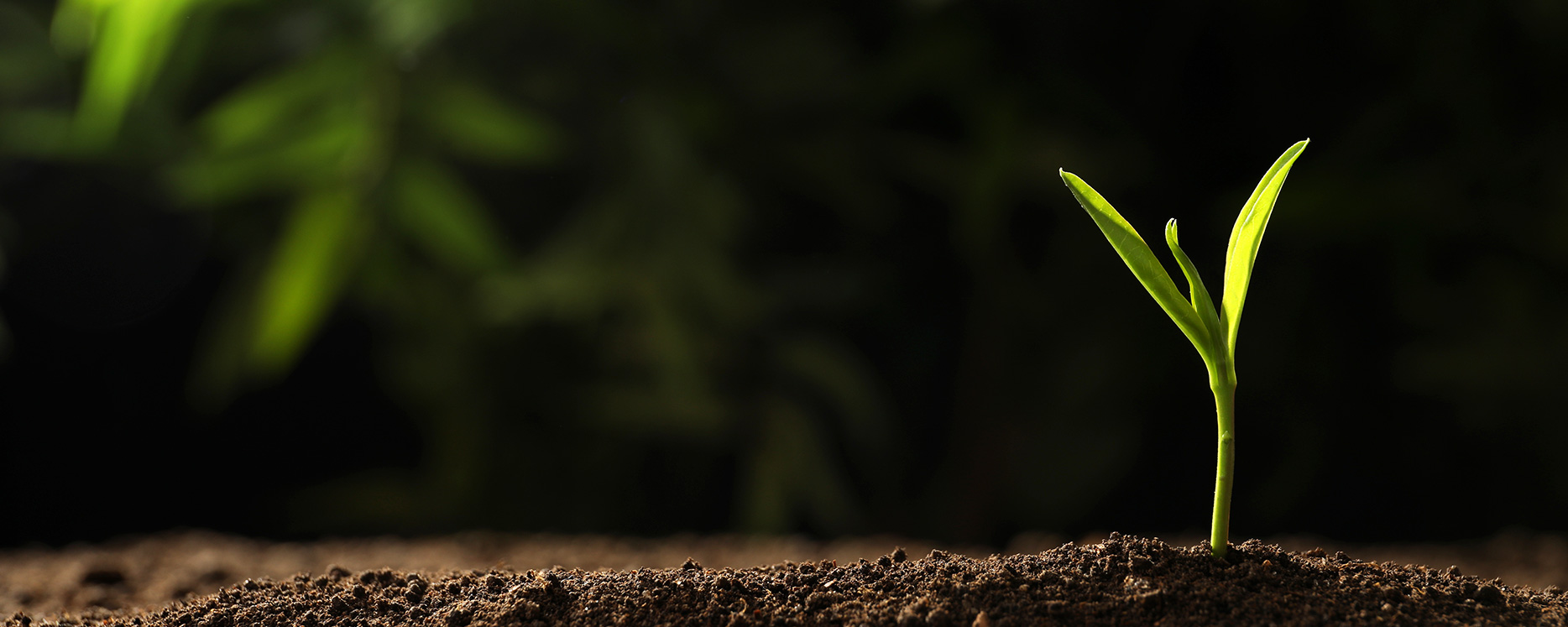 pg�齫����(�ٷ�)����IOS/��׿��/�ֻ���APP����