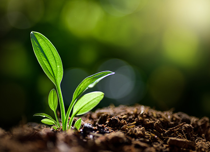 pg�齫����(�ٷ�)����IOS/��׿��/�ֻ���APP����